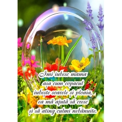 Felicitari A6 cu dedicatie mama